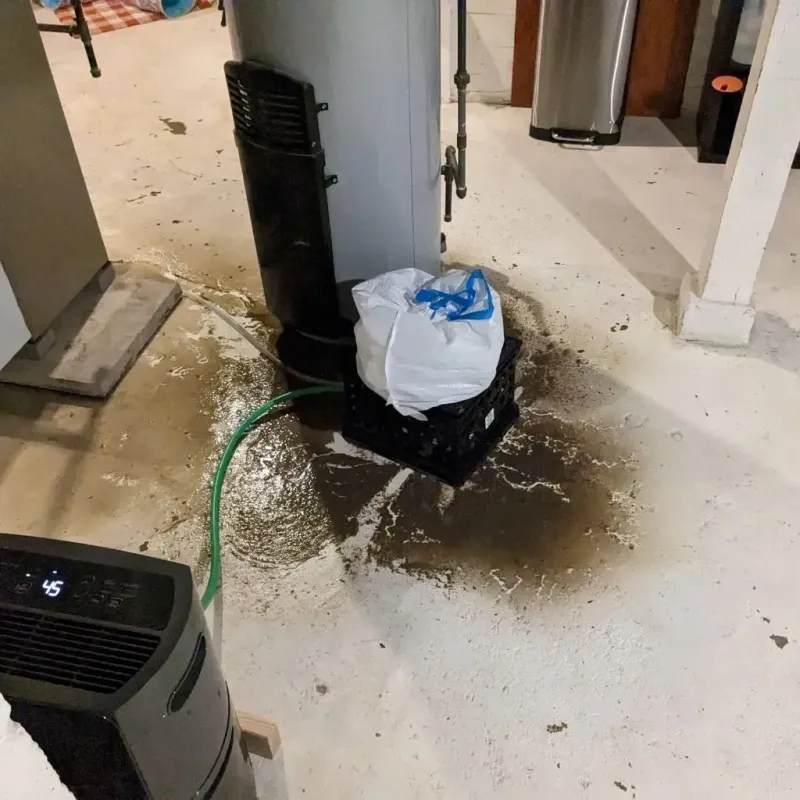 Sewage Backup Cleanup Service in Spurgeon, TN